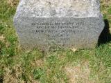 image of grave number 244697